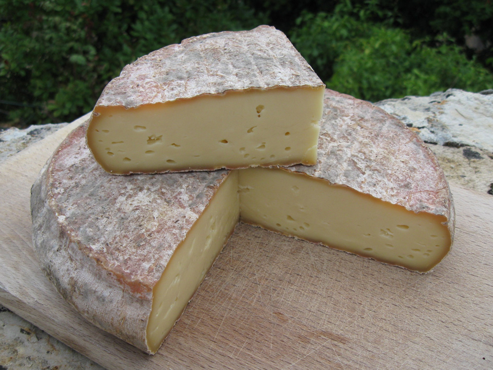 St Nectaire Cheese France