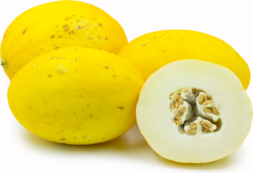 Canary Melon