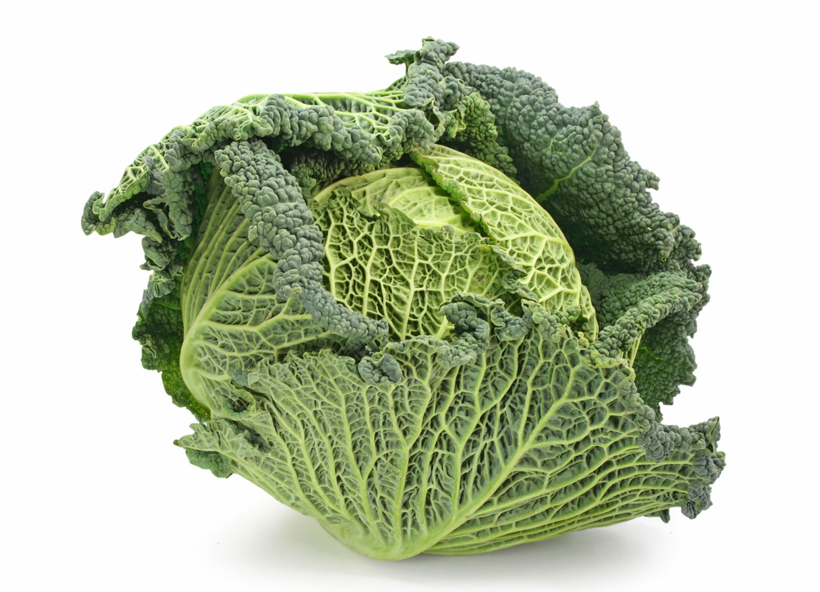 Savoy Cabbage