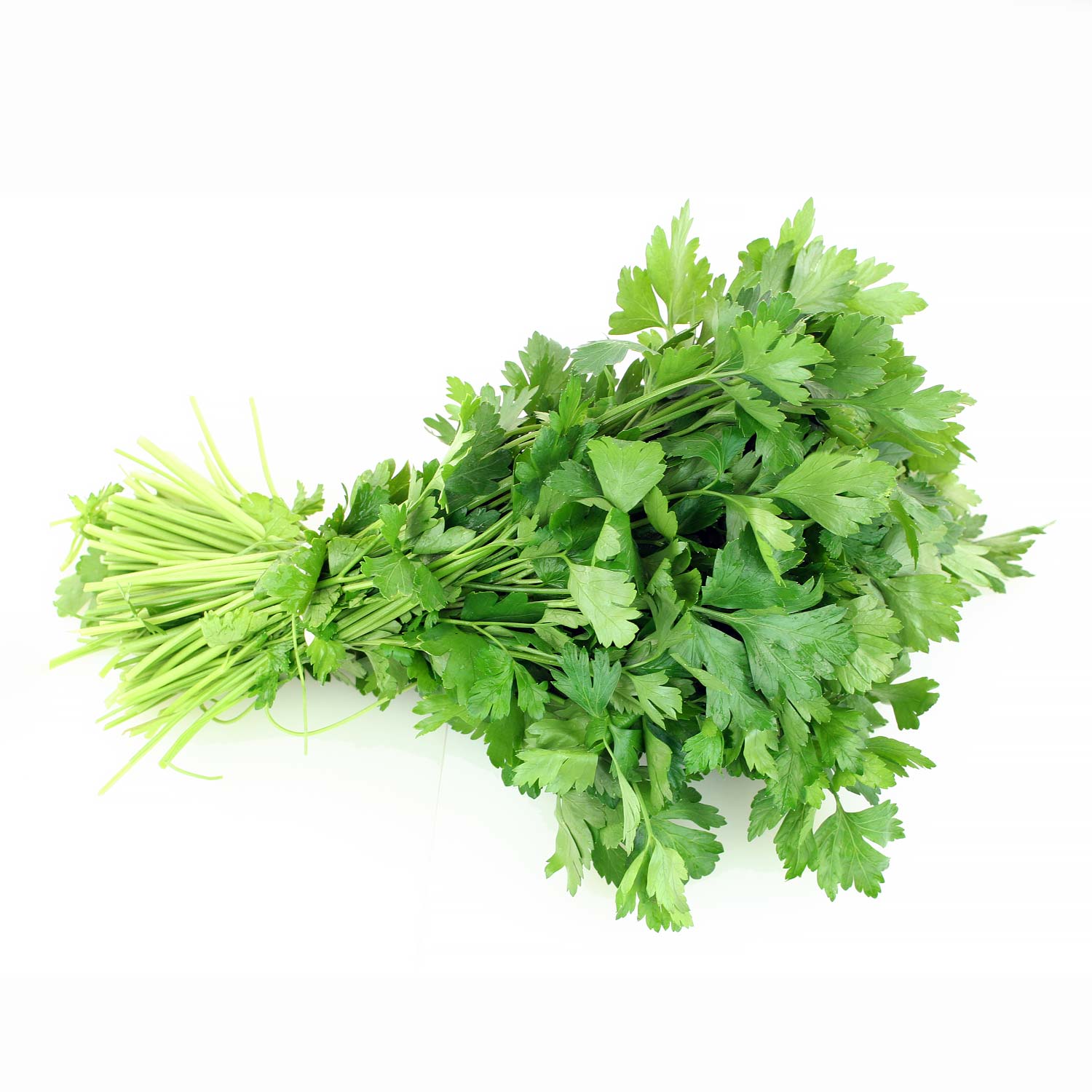 Italian Parsley Bunch