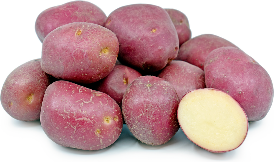 Red Creamer Potatoes 1.5lb Bag