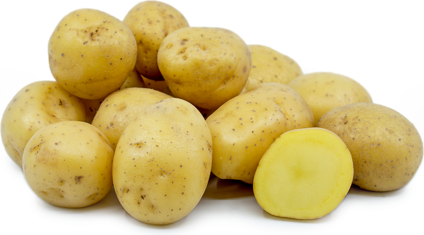 Yellow Creamer Potatoes 1.5lb Bag