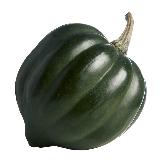 Acorn Squash