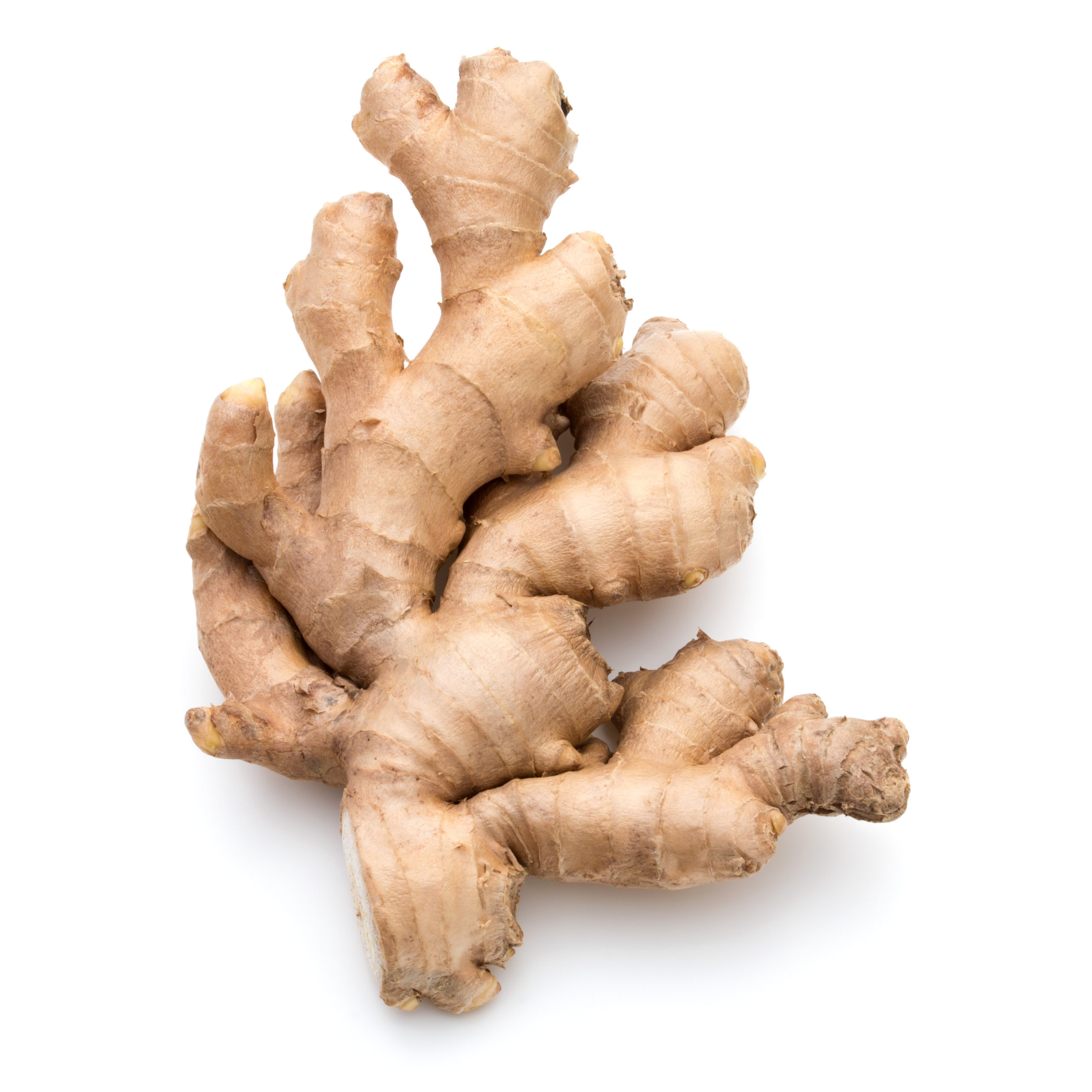 Ginger Root