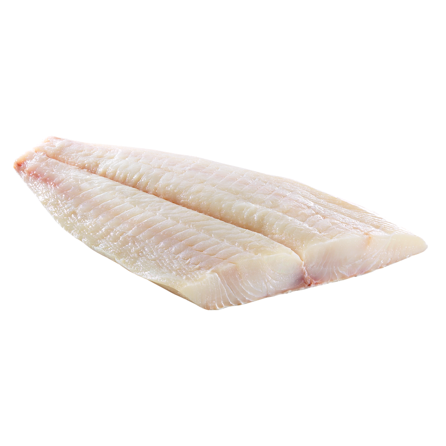 Fresh Halibut Fillet