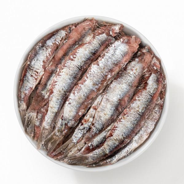 Anchovies Salted