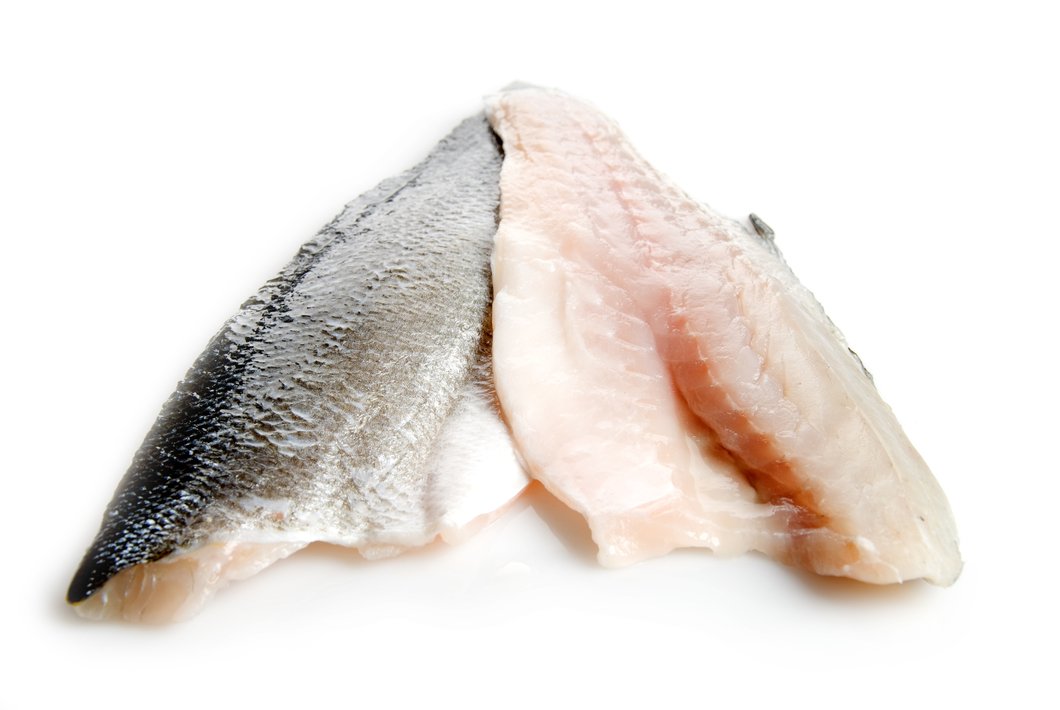 Mediterranean Sea Bass