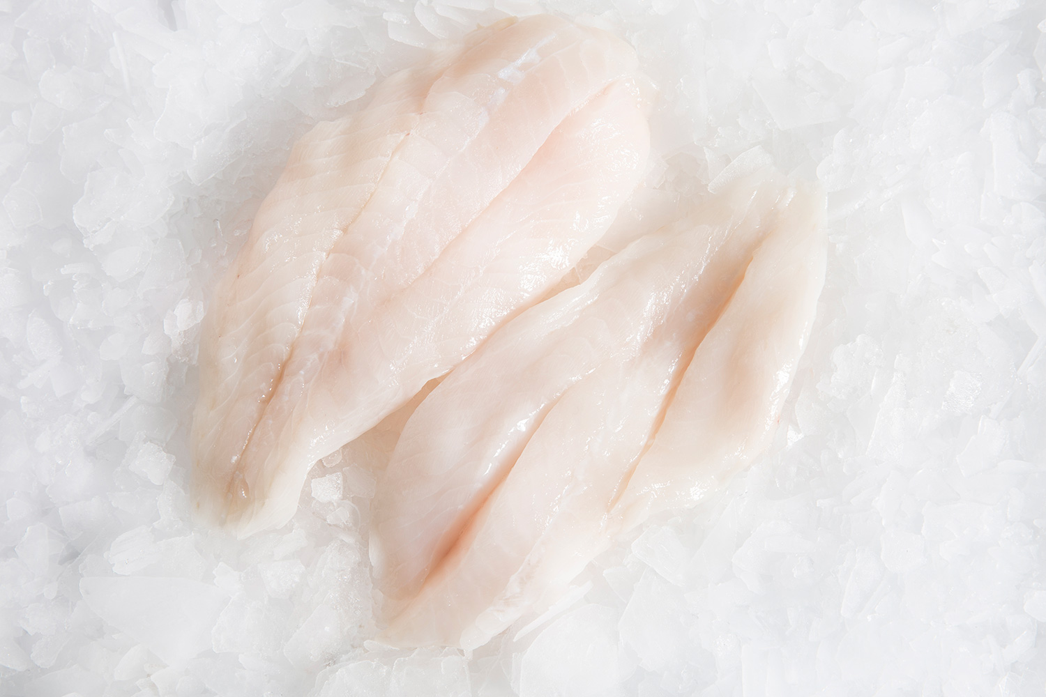 Orange Roughy Fillets