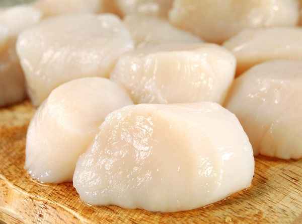 Fresh Dry Scallops U10