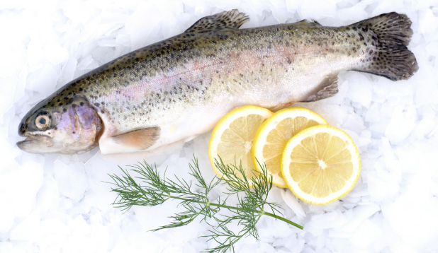 Whole Fresh Rainbow Trout