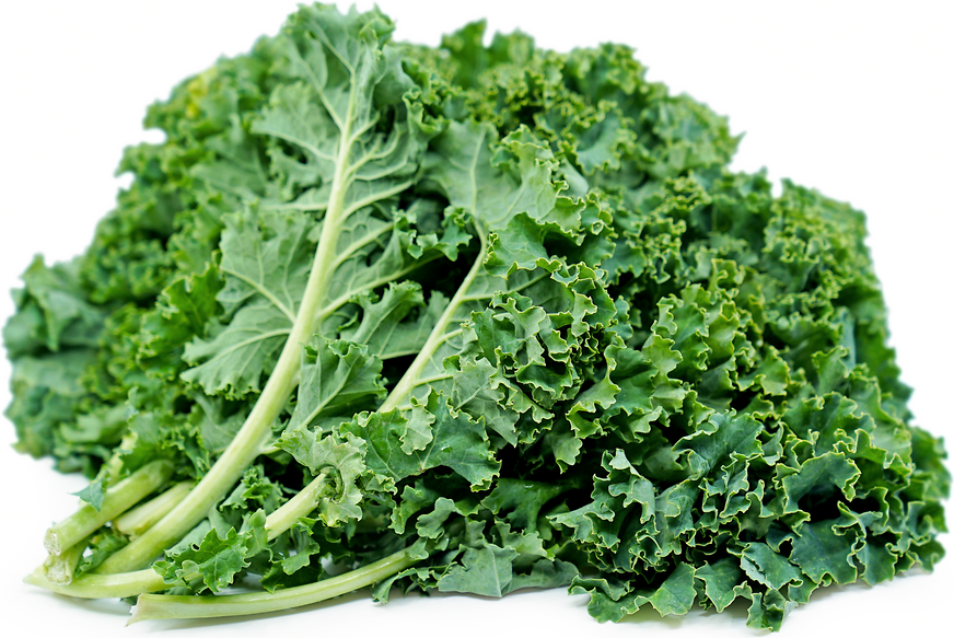 Kale Manitoba Grown