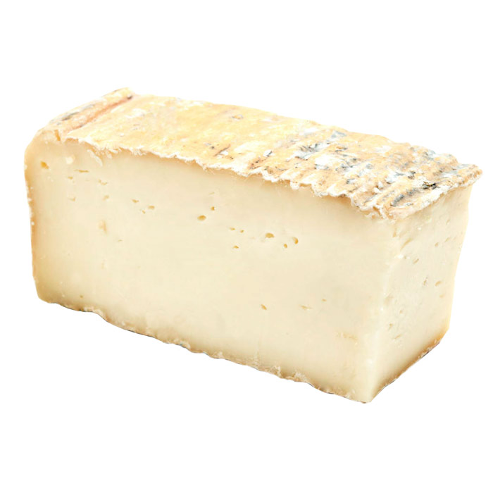 Taleggio Cheese