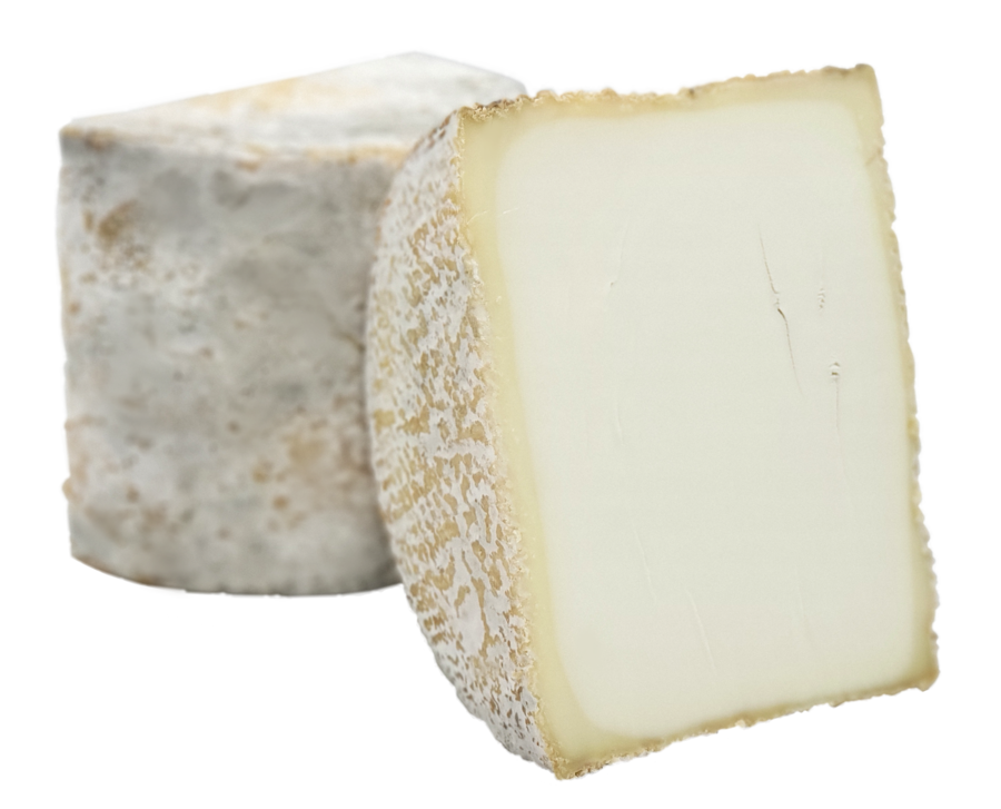 Blanc Bleu de Rizet Goat Blue Cheese