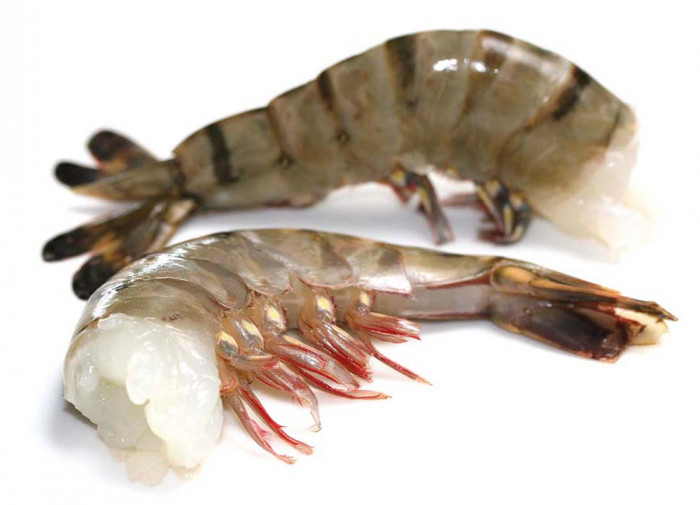 Mirabel Black Tiger Shrimp 13/15