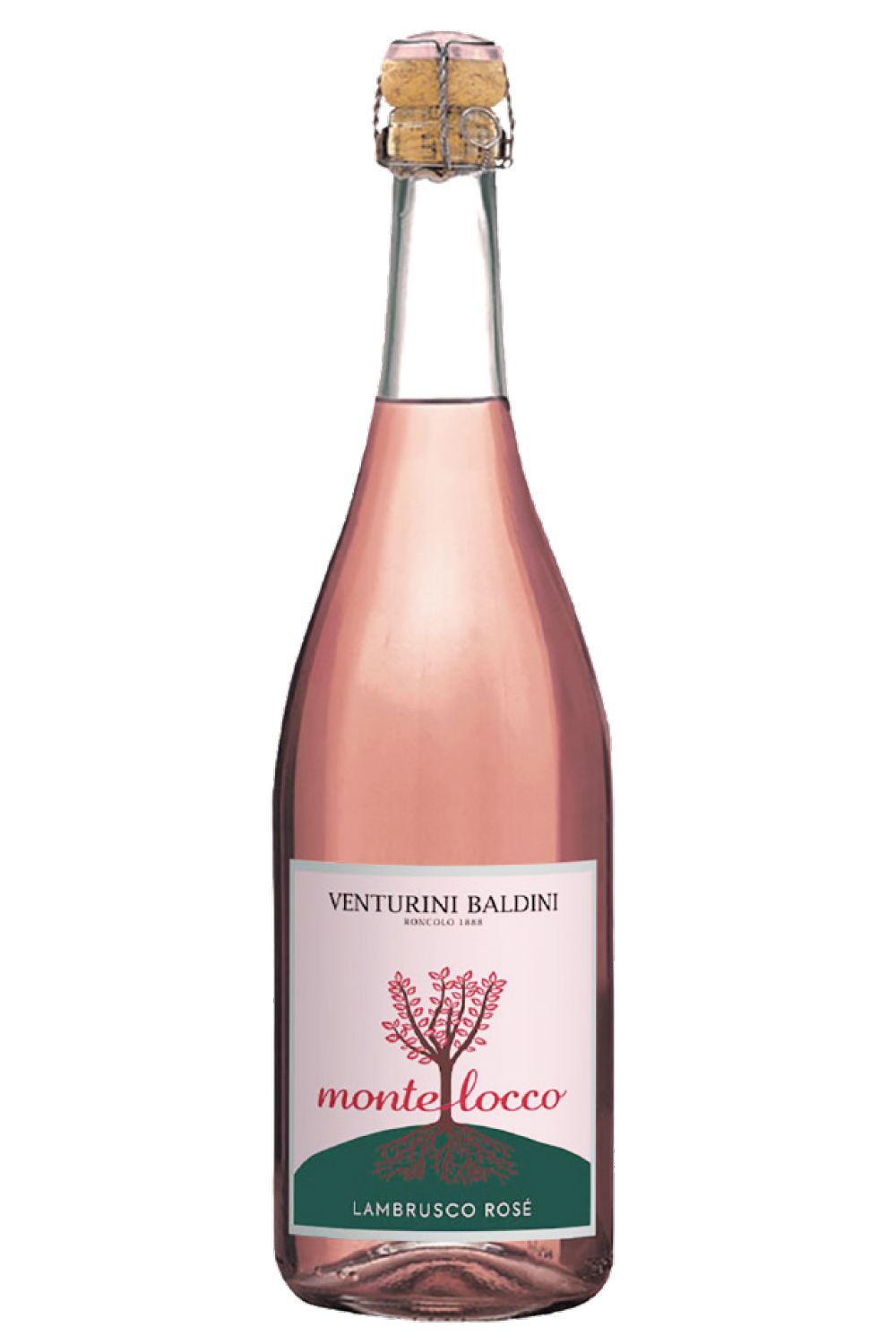 Baldini Montelocco Lambrusco Emilia Romagna 750ml