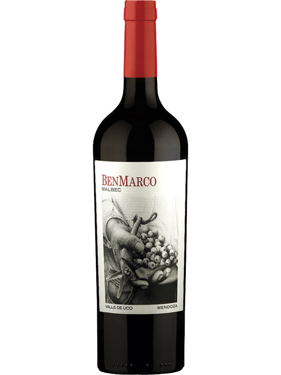 BenMarco Malbec Valle de Uco 750ml